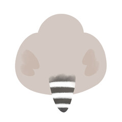 キンカチョウ　ノーマル