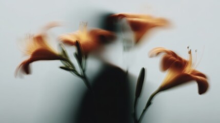 Fototapeta premium Blurred figure behind vibrant orange flowers in soft focus creates a serene atmosphere in a calm setting
