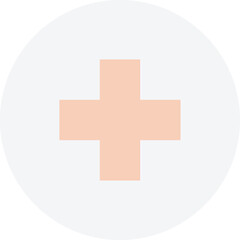 Medical Cross Symbol Inside a Gray Circle on Transparent Background