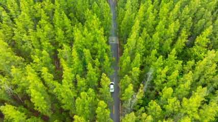 Aerial view of dark green forest road and white electric car Natural landscape and elevated roads...