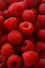 Fresh organic raspberry