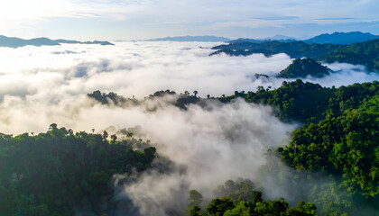 Expansive View of a Misty Landscape: Lush Greenery, Rolling Hills, Dense Vegetation, and Fog-Blanketed Terrain, Creating a Serene Natural Panorama