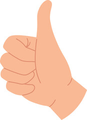 Hands poses. Female hand holding and pointing gestures, fingers crossed, fist, peace and thumb up. Cartoon human palms and wrist vector set