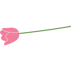 Pink Tulip Flower Stem Green Isolated White Background Simple Minimalist Flat Design Vector Illustration
