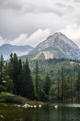 Mountain Landscape with Lake and Pine Trees