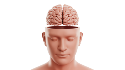 Vibrant assortment of fresh produce icons for healthy eating and creative designs