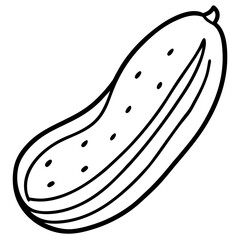 Cucumber Slices Vector Illustration