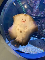 aquarium © mh