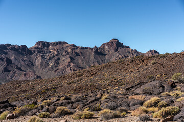Pahoehoe and aa lava field