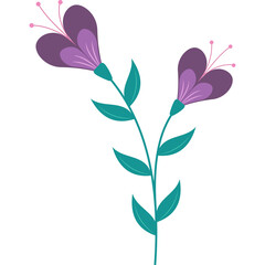 Two Stylized Purple and Teal Blooming Flowers on a Stem with Green Leaves Isolated on a Transparent Background