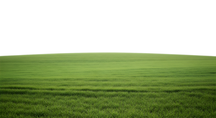 Green grass field with a dark sky isolated on transparent background