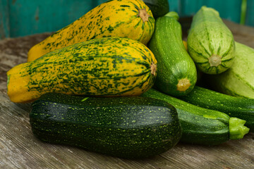 Autumn harvest squash and zucchini variety on wooden table. Fresh organic vegatables , rustic background. Assortiment of different color of zucchini.