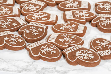 Beautifully Decorated Mitten Cookies with Royal Icing Designs