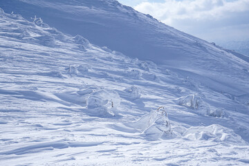 厳冬期の真っ白な荒島岳の樹氷