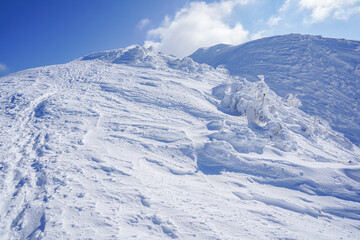 厳冬期の真っ白な荒島岳と樹氷
