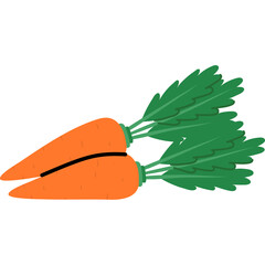 Two Vibrant Orange Carrots with Lush Green Leafy Tops Isolated on White Background Healthy Root Vegetables Fresh Produce Food Illustration