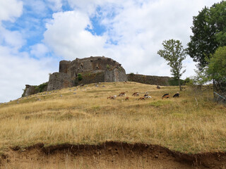 Ch&acirc;teau de Murol - Auvergne