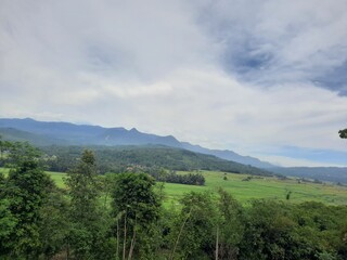 Naklejka premium Mountain scenery with green paddy field photo
