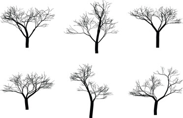 Collection of six stylized bare trees silhouettes for artistic and design projects