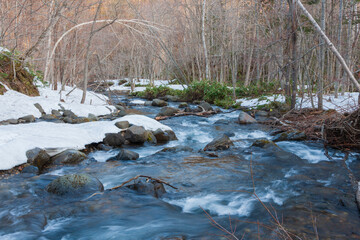 Mountain stream in Sapporo