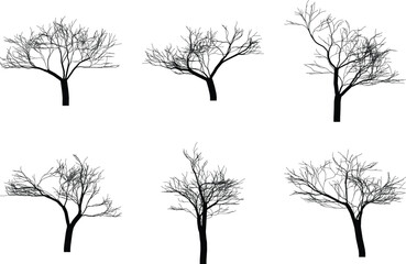 Collection of six bare tree silhouettes with detailed branches for artistic and design applications