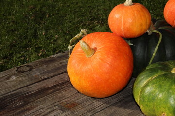 very beautiful orange pumpkin on an autumn background