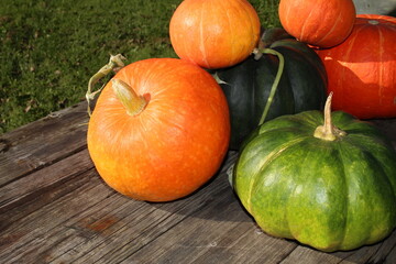 very beautiful orange pumpkin on an autumn background