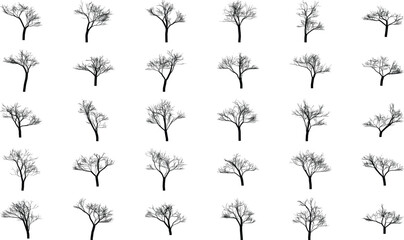 Collection of bare tree silhouettes artistic line drawing for winter nature art