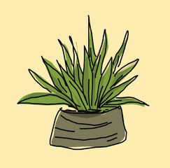 vector of plant on the pot cartoon illustration.eps