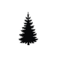 Silhouette of a dense evergreen pine tree with a white background