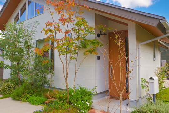 植栽が美しい新築住宅の外観