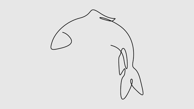 Self animated continuous one line drawing of salmon fish. Full length single line art 4K animation