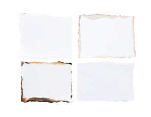 set of four torn paper squares arranged neatly on white background, high detail
