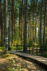 Sestroretskoye Bog State Nature Reserve of Regional Significance