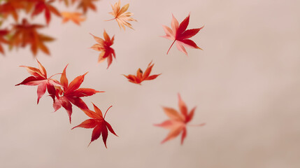 舞い散る鮮やかな紅葉の葉 淡い背景に映える秋の情景