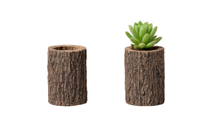 Wooden log planter succulent plant rustic style natural texture eco friendly decor isolated on transparency background minimalist design earthy tone indoor plant home accent