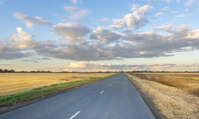 Naklejka premium Long road with a few trees in the background