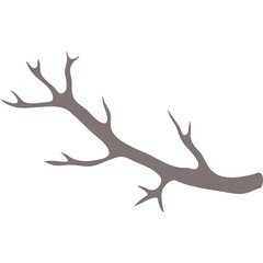 Simple Silhouette of a Thin Gnarled Tree Branch with Multiple Twigs Against a Clean White Background for Natural and Organic Design Elements