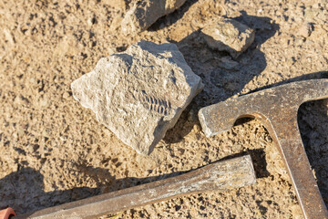 Hammer, chisel and imprint of Cambrian trilobite on limestone stone