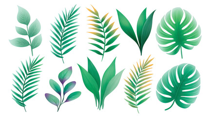Fototapeta premium Tropical leaf green foliage palm leaf monstera botanical nature exotic lush decorative vibrant collection of tropical leaves with various shapes and shades of green perfect for natural and fresh