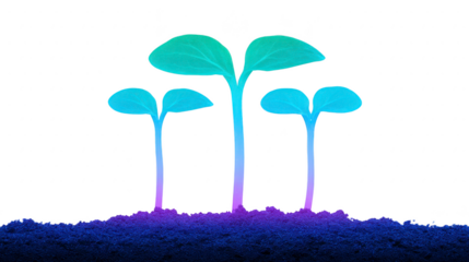 Young plant sprout with vibrant gradient leaves growing in soil, symbolizing growth, hope, and new beginnings, isolated on transparent background for creative design use