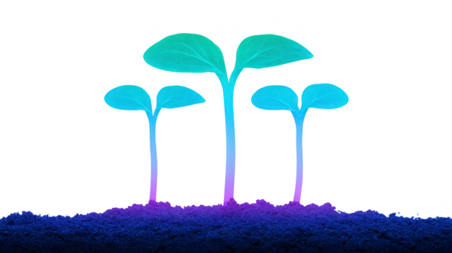 Young plant sprout with vibrant gradient leaves growing in soil, symbolizing growth, hope, and new beginnings, isolated on transparent background for creative design use