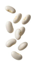 Falling White Kidney Beans PNG. Flying Cannellini legume set isolated. Raw organic haricot ingredients for chili and soup. Healthy vegetarian protein food pattern isolated