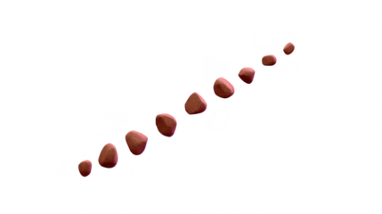 Brown stone path, arranged in diagonal line, isolated on transparent background, natural texture, zen garden concept, peaceful and calming, suitable for design or decoration