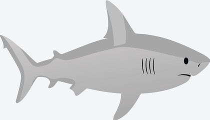 a shark with a white background
