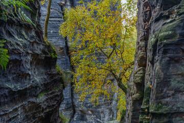 The Great Tisa Rocks - natural rock formations in Bohemian Switzerland, Wonderful rock formation Tiske steny , Czech Republic. Autumn.