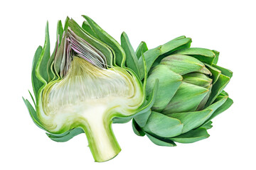 Whole fresh raw artichoke or freshly harvested artichoke isolated.	
