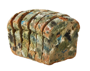 Rotten Sliced Bread With Blue Green Mold and Fungi on Transparent Background