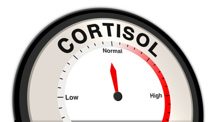 Cortisol at normal levels on a barometer or tachometer, showing balanced energy, stable mood, and optimal stress response, indicating healthy adrenal function and hormone regulation
