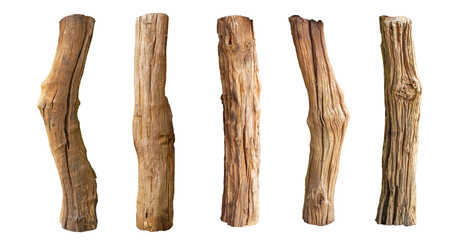 Broken tree branches with detached bark. Rustic wood branch. Weathered driftwood log isolated. Willow log isolate  © POSMGUYS